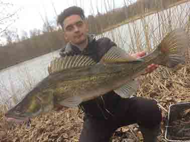 Grosse sandre, pris au colonie de pêche d'hivers