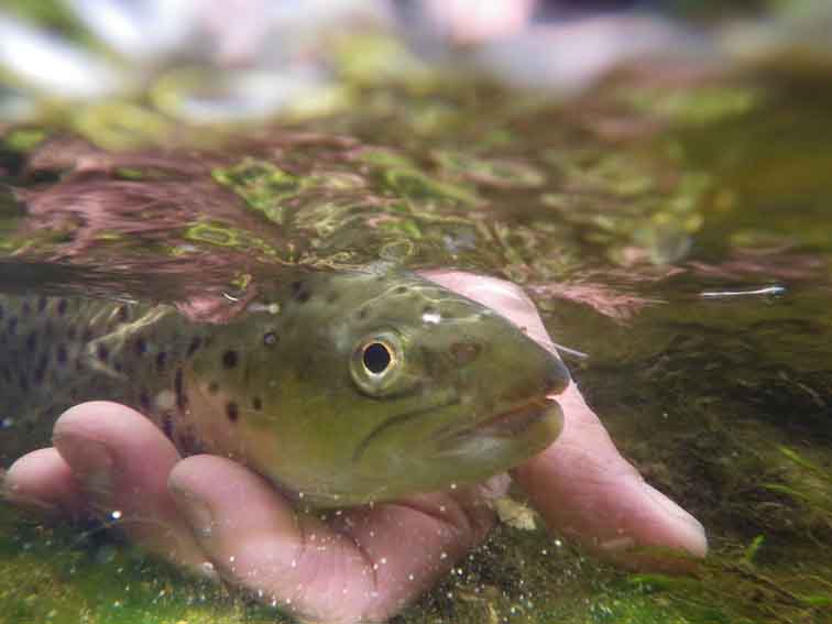 Stage de pêche