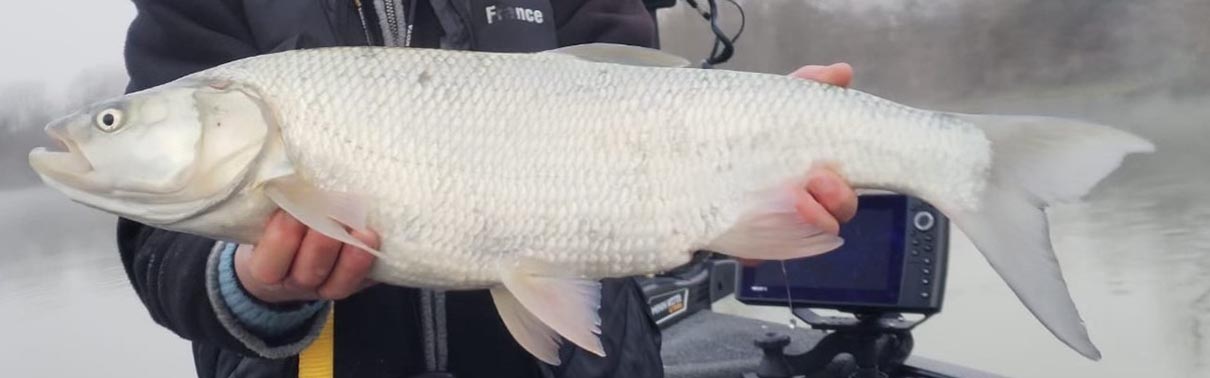 Guide de pêche