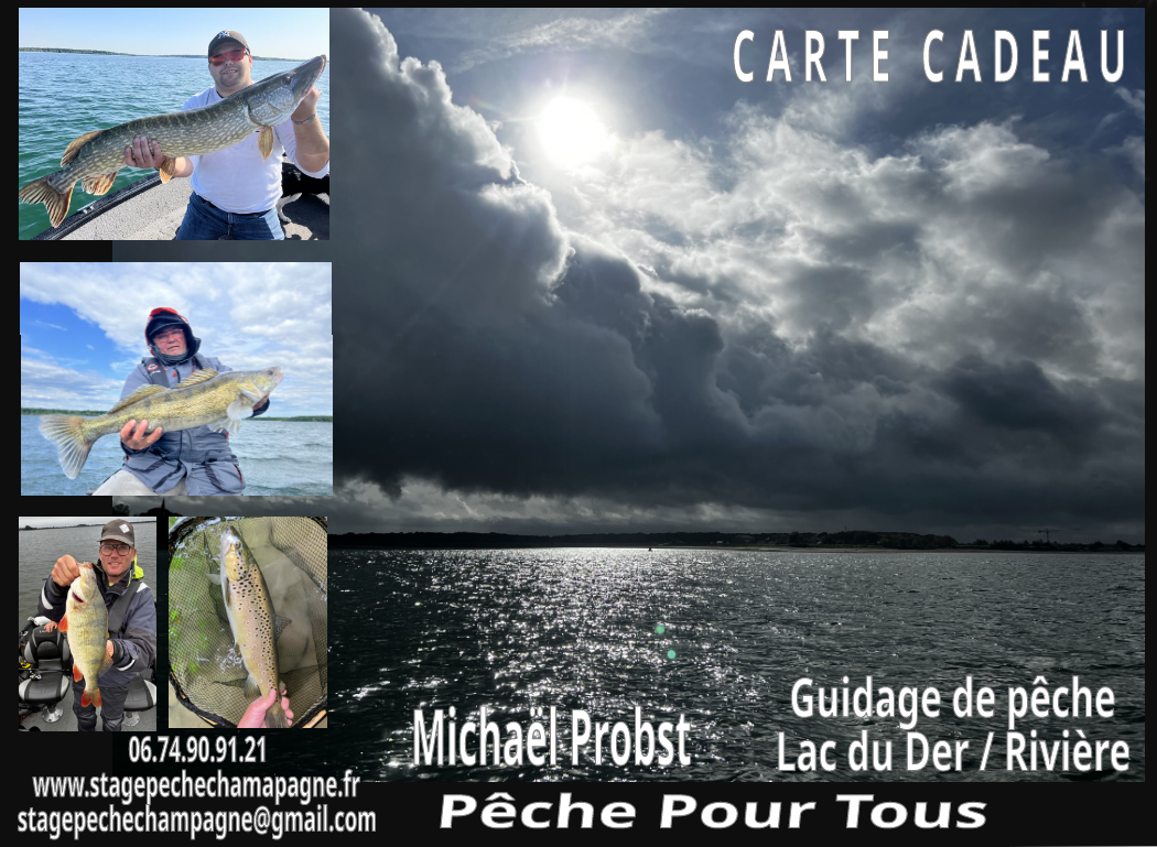 : Carte cadeau pêche Michael Probst avec coucher de soleil sur le lac du Der et poissons brochet, sandre, perche et truite