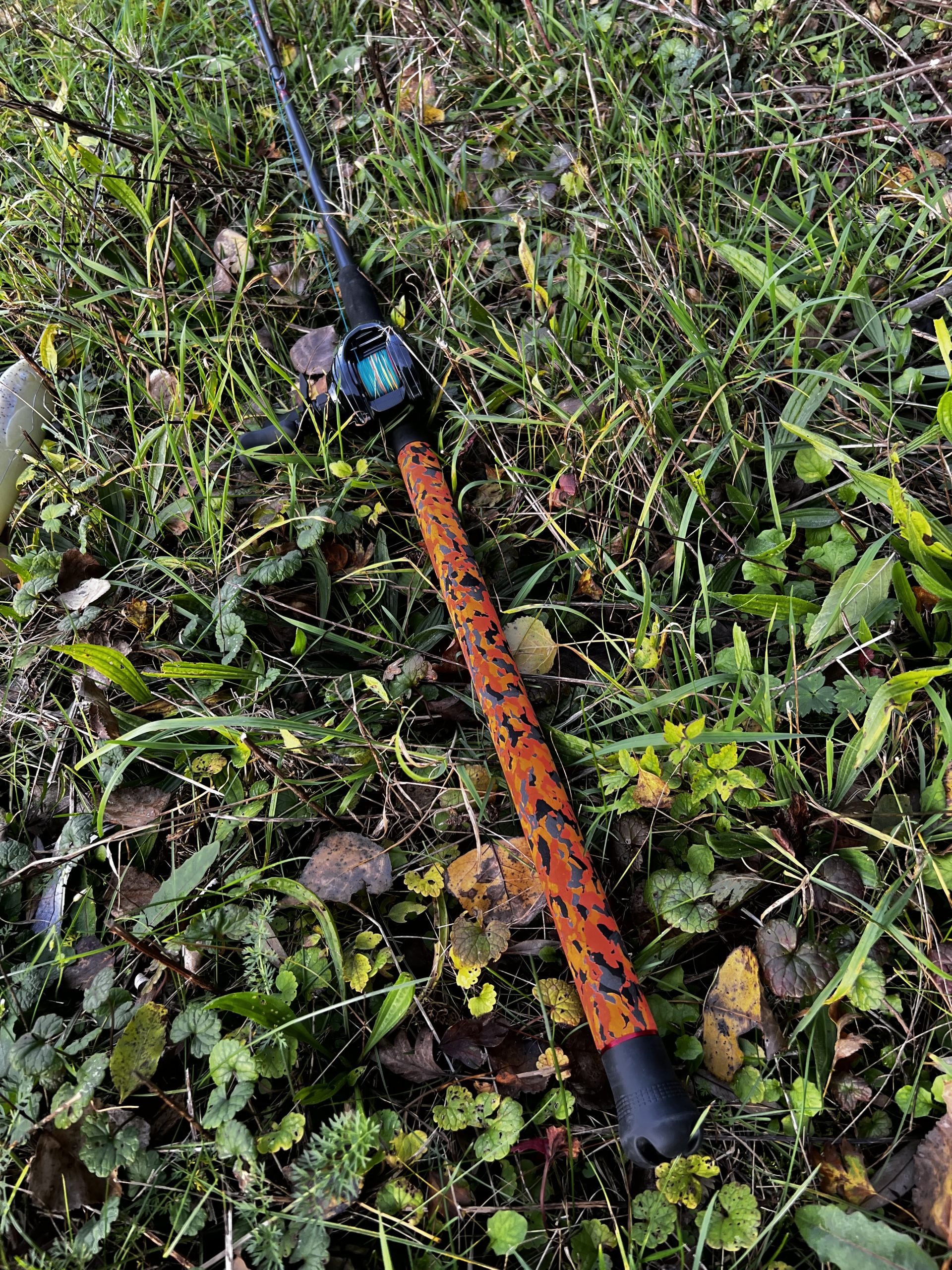 canne big bait 600 g ZFBaits montée avec anneaux brésiliens