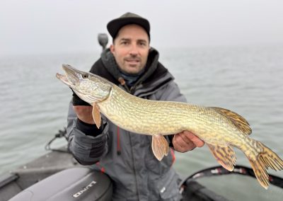 Brochet du lac de Madine pris lors d’une session de pêche dans la brume