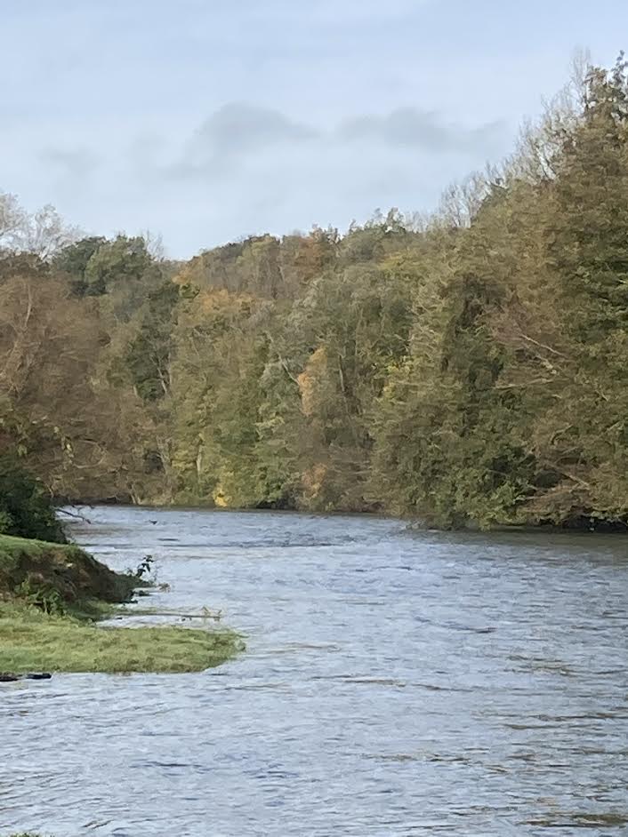 Radier sur une rivière de Champagne bordée d’arbres, parcours de pêche à la truite