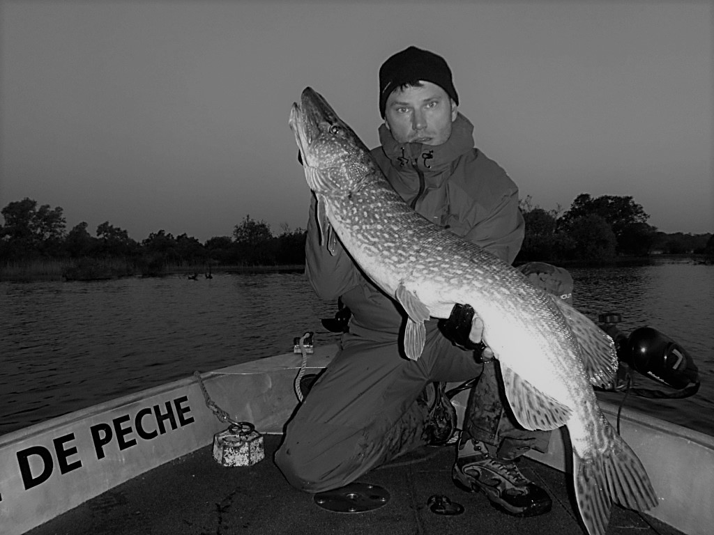 Moniteur guide de pêche avec un brochet de 116 cm au lac du Der