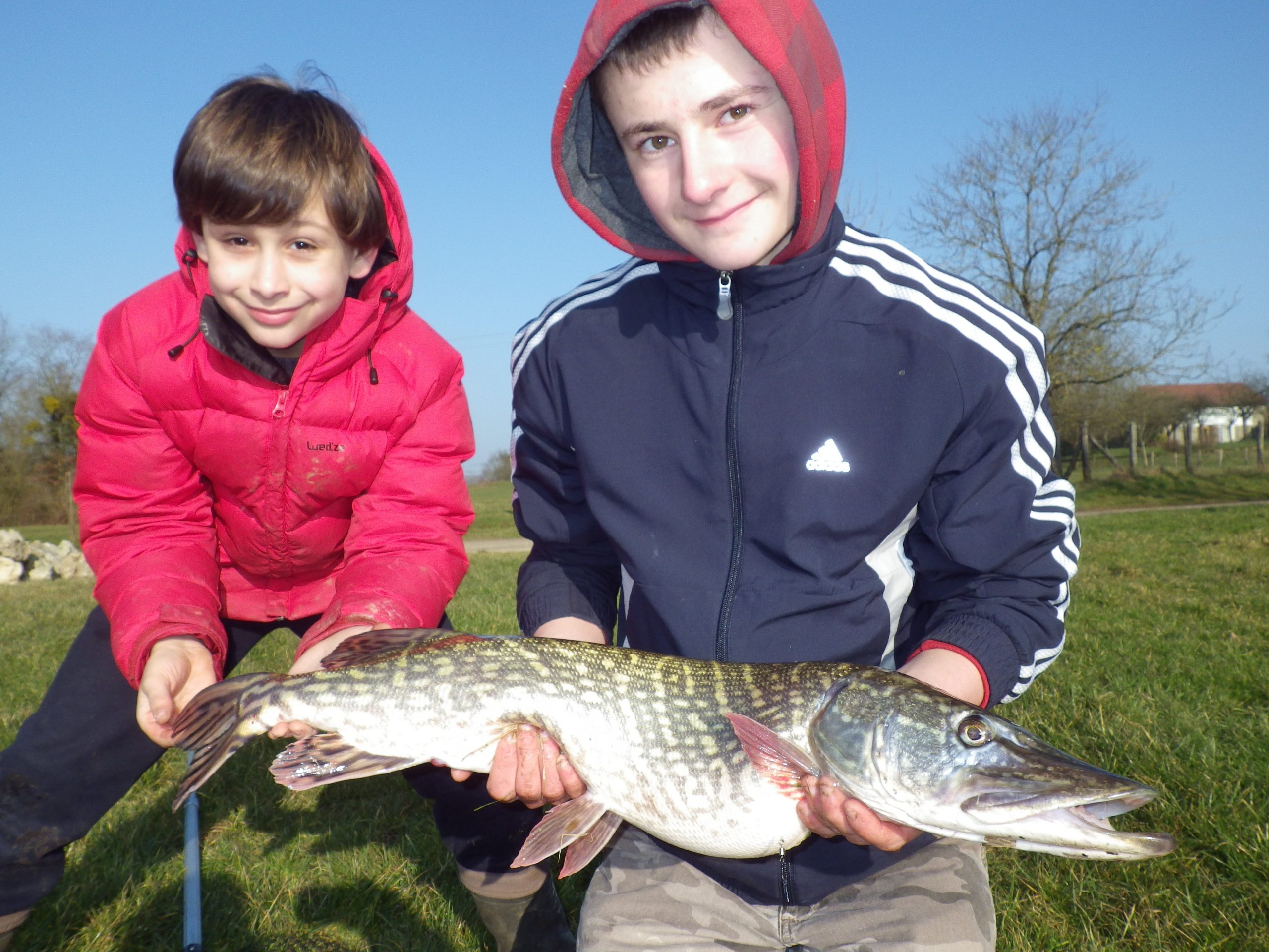 brochet d’étang 90 cm capturé lors d’une colonie de pêche