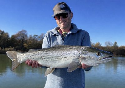 grosse truite lacustre capturée au lac du Der