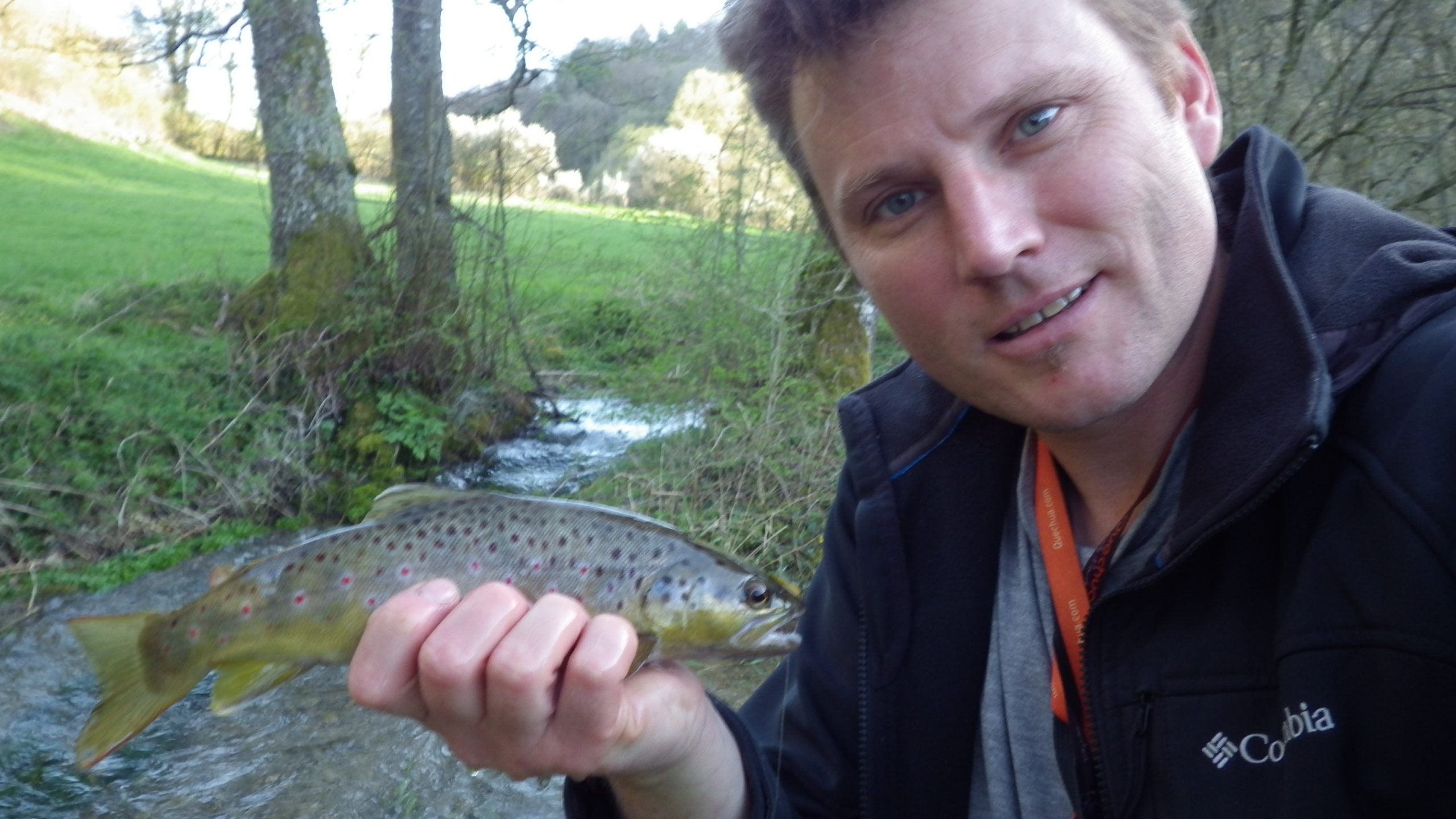 truite fario capturée en ruisseau sauvage