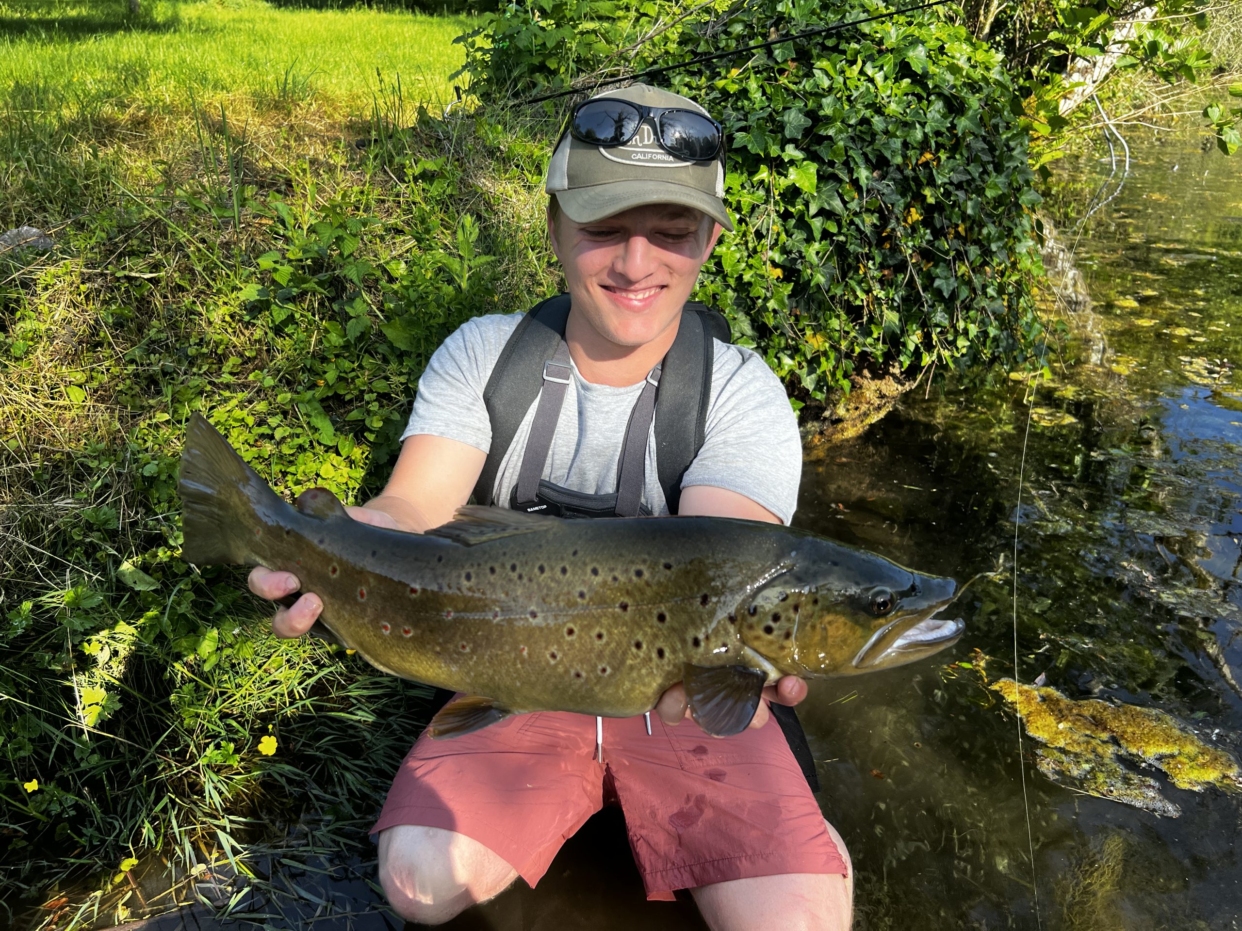 Cid présente une magnifique truite fario de 60 cm capturée dans une rivière cristalline de Haute-Marne.